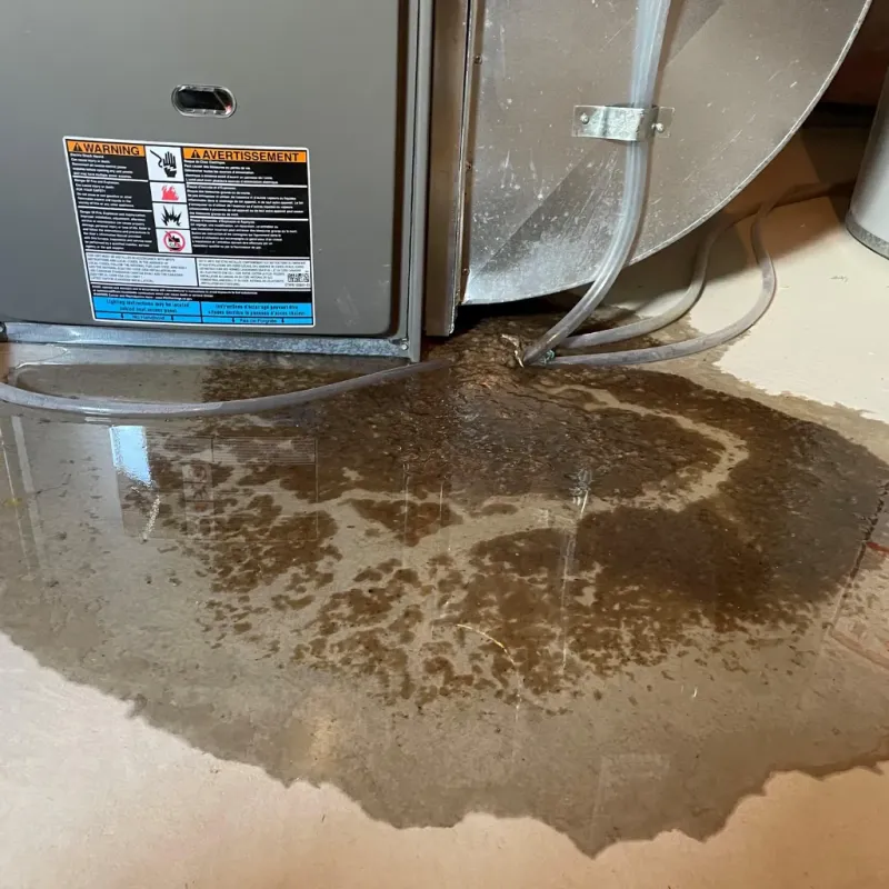 Appliance Leak Cleanup in Spencer, IN